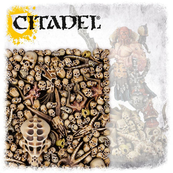 64-29 - CITADEL SKULLS
