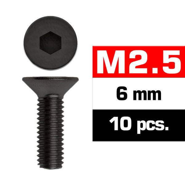 UR1612506 M2,5x6mm FLAT HEAD SCREWS (10 pcs)