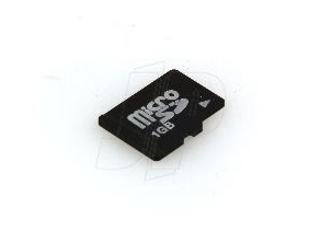 6605865 Twister Mini TwisterCam MICRO SD CARD (1 GB)
