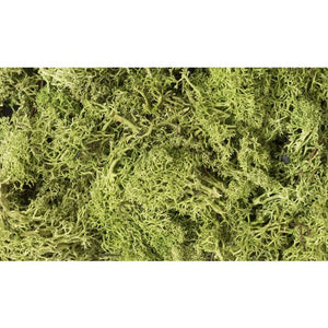 Woodland Scenics Light Green Lichen - L162