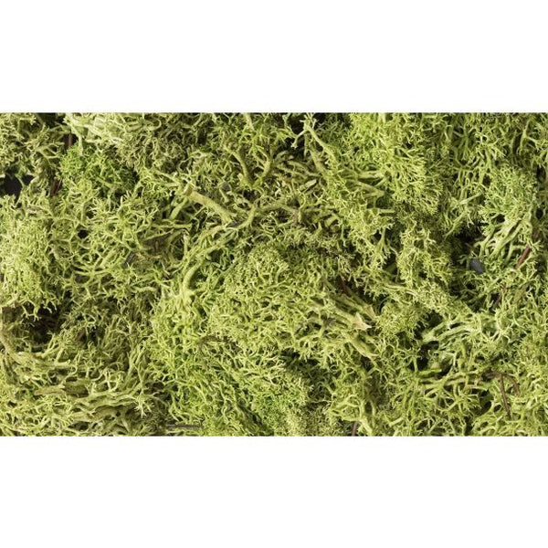 Woodland Scenics Light Green Lichen - L162