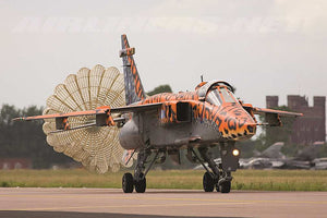 ITA1357 ITALERI JAGUAR Gr.3 "BIG CAT" Special Colors