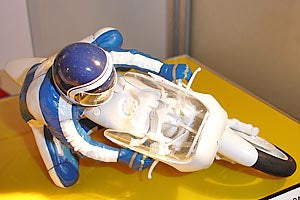 14122-1/12-RACING-RIDER-(2013)