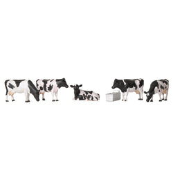 36-081  Cows