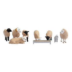 36-083  Sheep