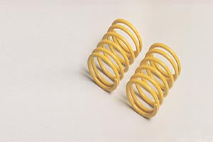 53631 TAMIYA TRF ON-ROAD SHORT SPRING SET MEDIUM 2PCS