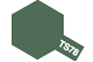 85078 TS-78 FIELD GREY 2