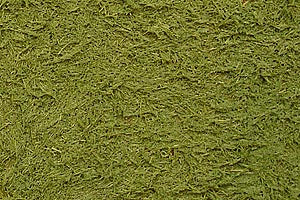 87111 Tamiya TEXTURE PAINT GRASS GREEN
