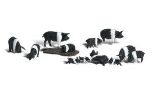 WA1864  HO Hampshire Pigs