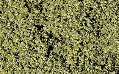 WF52 - Medium Green Foliage