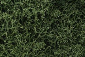 Woodland Scenics Medium Green Lichen - L163