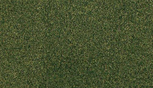 WRG5173-FOREST-GRASS