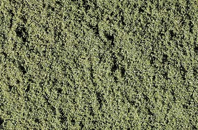 WT46 - Weeds Fine Turf (Bag)