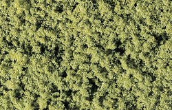 WT63 - Light Green Coarse Turf (bag)