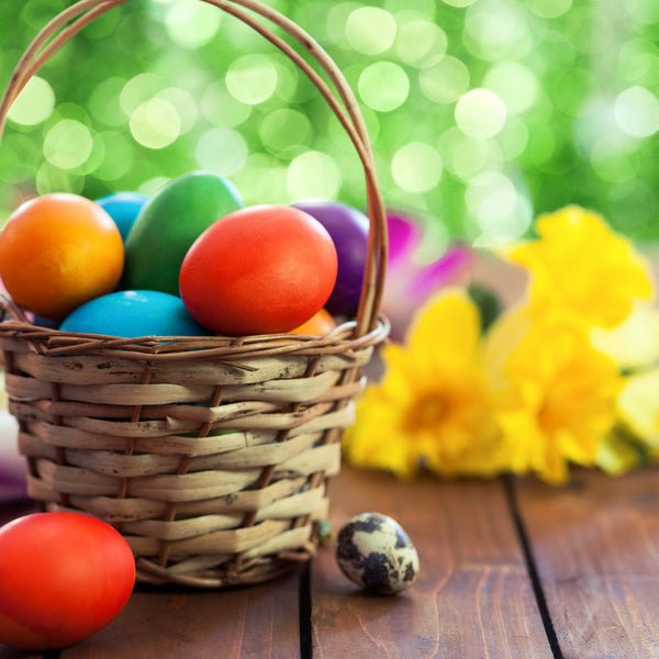 Carrera CA27560 BMW M1 Procar Andretti No1 1979