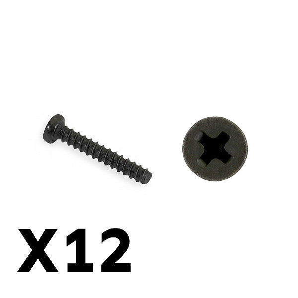 FTX9755 FTX TRACER PAN HEAD SELF TAPPING SCREWS PBHO2*12MM