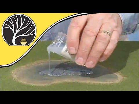 WRG5153-READY-GRASS-WATER-KIT